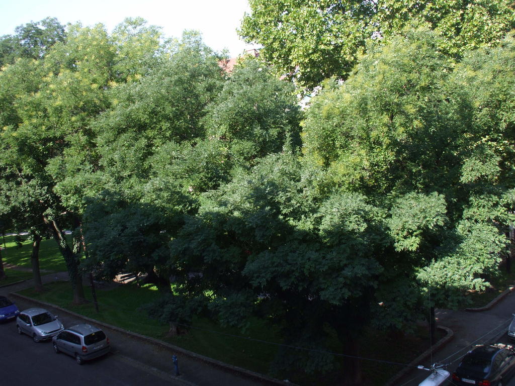 Appartement St. Leonhard Štýrský Hradec Exteriér fotografie
